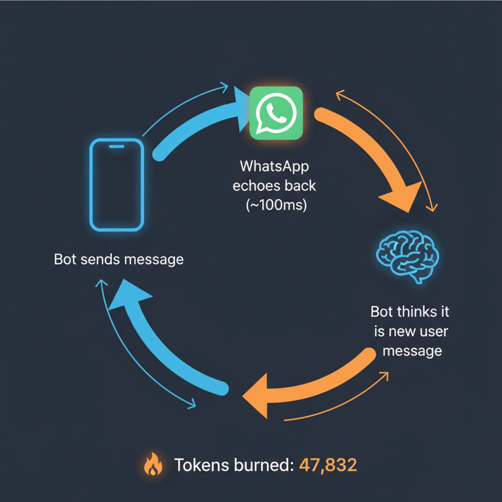 The echo loop: bot sends, WhatsApp echoes back, bot treats echo as new message, repeat