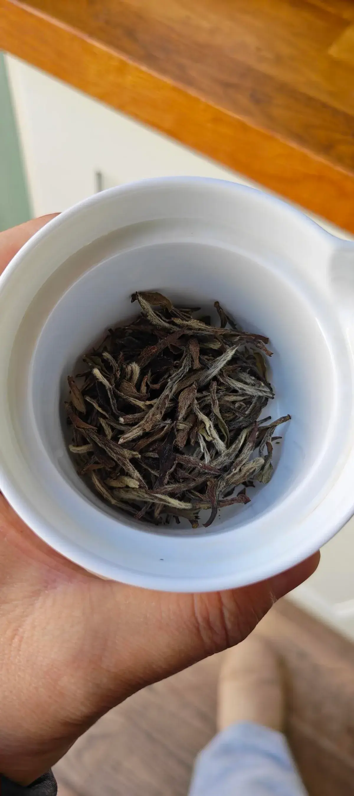 一只白瓷盖碗被手托着,碗底是一层干茶,芽头覆着白毫,梗和叶片呈深褐带红的铁锈色